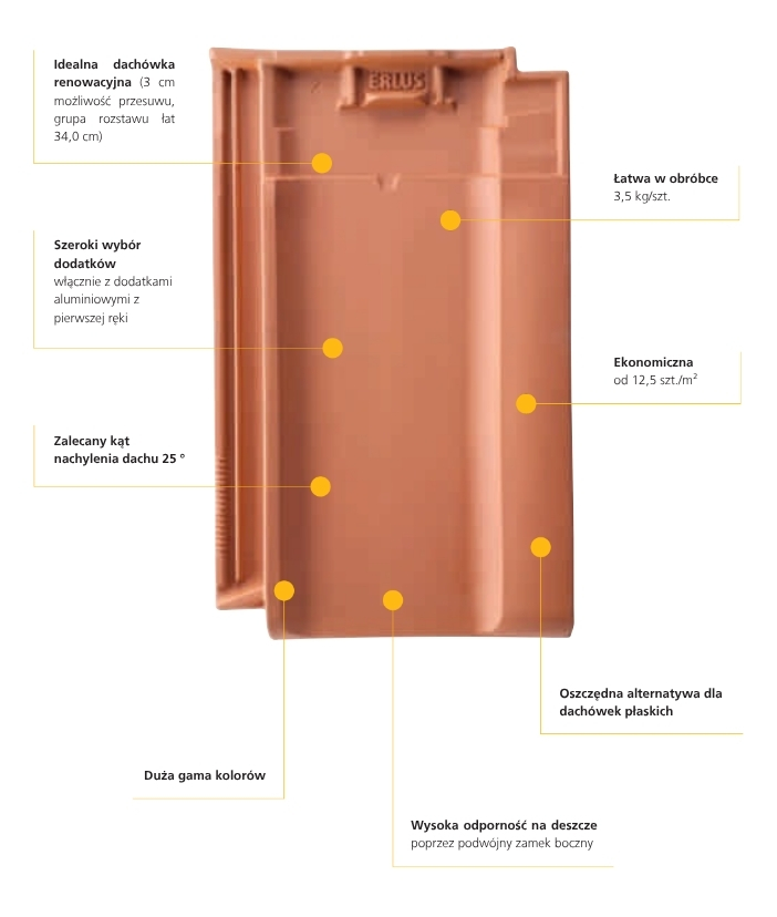 Erlus Reforma SL